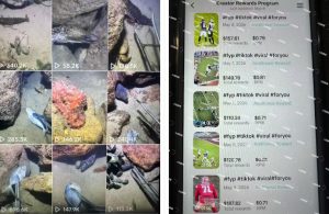 Tiktok中视频解说教程,体育+温情文案双赛道实操教程一站式带你落地,教你出海賺美刀-副业资源站