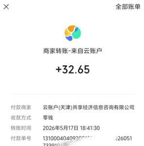 微信游戏撸广独家玩法,今天做明天就能出收益,单号日收益20+,可多号矩阵放大-副业资源站