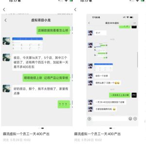 薅流虚拟2.0陪跑课,0成本AI流程化操作,淘宝+闲鱼同步玩法,上一次货两个平台有收益,单店每天200纯利润-副业资源站
