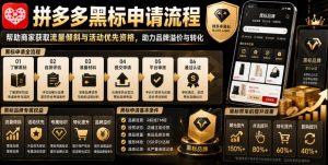拼多多黑标申请流程，帮助商家获取流量倾斜与活动优先资格，助力品牌溢价与转化-副业资源站