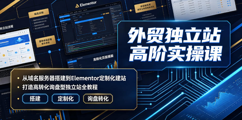 外贸独立站高阶实操课｜从域名服务器搭建到Elementor定制化建站，打造高转化询盘型独立站全教程-副业资源站