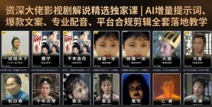 资深大佬影视剧解说精选独家课|AI增量提示词、爆款文案、专业配音、平台合规剪辑全套落地教学-副业资源站