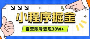 微信小程序掘金,团队自营小程序累计变现38W+,稳定运营三年,一部手机即可操作【揭秘】-副业资源站