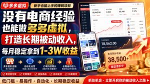 没有电商经验也能做多多虚拟，打造长期被动收入，每月稳定拿到1-3W收益【揭秘】-副业资源站