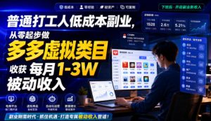 普通打工人低成本副业，从零起步做多多虚拟类目，收获每月1-3W被动收入【揭秘】-副业资源站