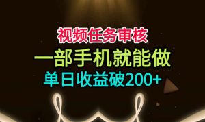 视频任务审核，一部手机就能做，简单上手，单日收益破200+【揭秘】-副业资源站