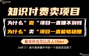 普通人为什么能够靠卖项目轻松月入10W+，而做项目却容易成炮灰，卖项目为什么能够稳賺不赔？【揭秘】-副业资源站
