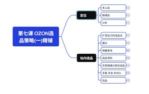 2026最新OZON全流程运营实操跨境电商平台教程，OZON全流程一站式系统学习必修课，从开店到跟卖到精铺-副业资源站
