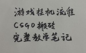 游戏挂G全流程笔记分享，CSGO游戏搬砖，小白看了当天学会见收益【揭秘】-副业资源站
