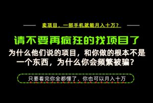 为什么做项目的人大多都是炮灰？为什么只有卖项目才能稳？看完你也可以月入10W+【揭秘】-副业资源站