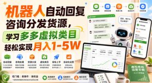 机器人自动回复咨询分发货源，学习多多虚拟类目轻松实现月入1-5W【揭秘】-副业资源站