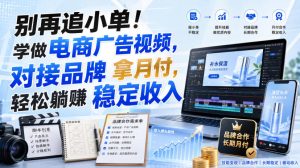 别再追小单!学做电商广告视频,对接品牌拿月付,轻松躺賺稳定收入【原创双语字幕】-副业资源站