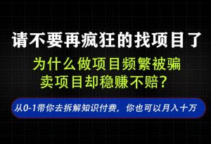 找项目?别傻了!卖项目才是真的一本万利!看完你全都懂了【揭秘】-副业资源站