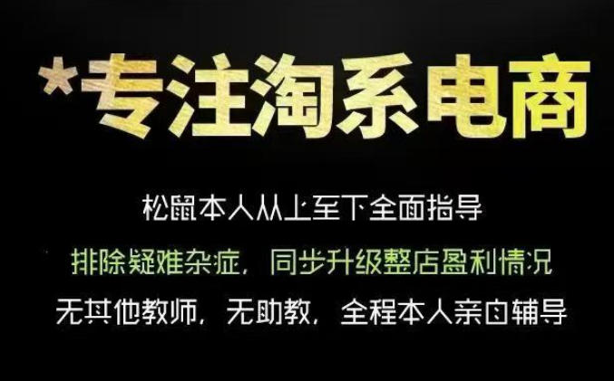 松鼠会电商VIP课程，从基础布局到高阶优化，助你掌握淘宝运营逻辑，提升店铺流量与转化（更新0823）-副业资源站