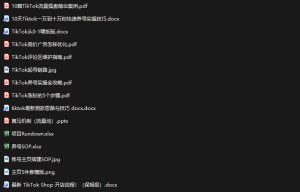 TikTok从0-1实操资料包:养号SOP+爆款公式+投流手册,新手30天可起号变现,抓住TikTok流量红利-副业资源站