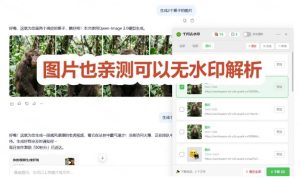 太香了！这款千问视频/图片去水印神器，一键搞定烦人水印，本地完全免费，浏览器拓展插件-副业资源站