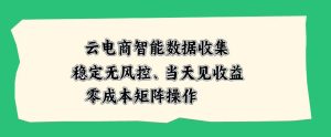 云电商智能数据收集,稳定无风控,当天做当天见收益,零成本矩阵操作【揭秘】-副业资源站