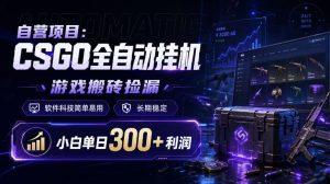 自营项目：CSGO全自动挂G，游戏搬砖捡漏，软件科技简单易用，长期稳定，小白单日300+利润【揭秘】-副业资源站