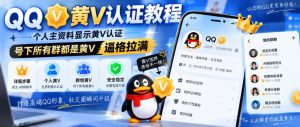QQ黄V认证教程，个人主资料显示黄V认证，号下所有群都是黄V，逼格拉满-副业资源站