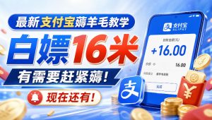 最新支付宝薅羊毛教学，白嫖16米，有需要赶紧薅，现在还有！-副业资源站