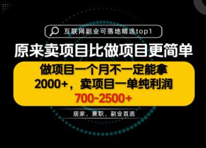 一单利润700-2.5K+，为什么我们要卖项目而不是做项目，我们普通人应该怎样开始？【揭秘】-副业资源站