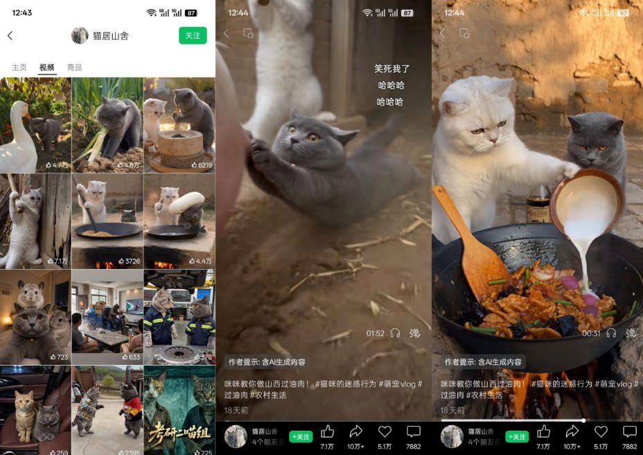 猫咪慢生活短视频教学，AI搞笑萌宠赛道，视频号分成+精选独家+伙伴计划+商单收徒等多种变现方式-副业资源站
