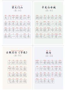 学习神器，汉字拼音字帖生成器，汉字+拼音 一键生成字帖/默写/填空卷，支持词组、成语，老师、家长必备-副业资源站