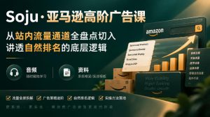 亚马逊高阶广告课，从站内流量通道全盘点切入，讲透自然排名的底层逻辑（直播+音频+资料）-副业资源站