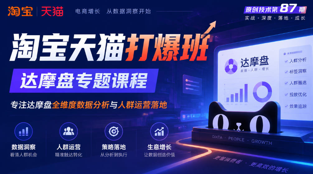 《淘宝天猫打爆班》原创技术第87期，达摩盘专题课程，专注达摩盘全维度数据分析与人群运营落地-副业资源站