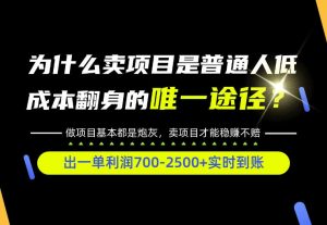 普通人如何靠互联网賺取自己的第一桶金！全类目实操型教学，看完你全都懂了！【揭秘】-副业资源站