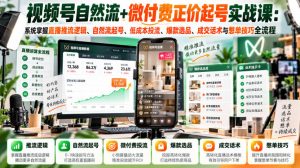 视频号自然流+微付费正价起号实战课:系统掌握直播推流逻辑、自然流起号、低成本投流、爆款选品、成交话术与憋单技巧全流程-副业资源站