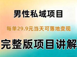 男性私域项目每单29.9,当天就能落地变现【不是S粉项目】详细拆解-副业资源站