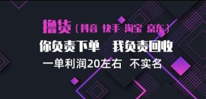 抖音淘宝快手买手项目，一单利润20左右，单号每天下三单，可矩阵【揭秘】-副业资源站