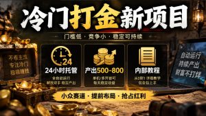 冷门打金新项目，24小时托管，产出500-800，内部教程【揭秘】-副业资源站