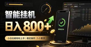 零值守智能挂G，副业高效增收居家智能挂G，新手也能日入800【揭秘】-副业资源站