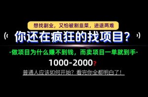 你还在疯狂的找项目？别傻了！卖项目才是真正的一本万利！怎么做，看完你全都明白！【揭秘】-副业资源站
