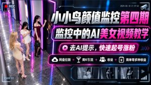 小小鸟颜值监控第四期，监控中的AI美女视频教学，去AI提示，快速起号涨粉，网盘拉新+商K引流+收徒+商单等多种收益-副业资源站