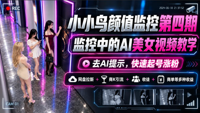 小小鸟颜值监控第四期，监控中的AI美女视频教学，去AI提示，快速起号涨粉，网盘拉新+商K引流+收徒+商单等多种收益-副业资源站