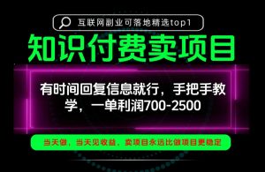 一单利润700-2.5k，有时间回信息就行，手把手带你做知识付费卖项目！一天稳定2-3单！【揭秘】-副业资源站