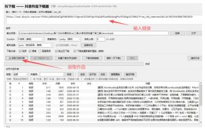 抖音批量视频下载工具，一键下载高清无水印视频，到手就能用-副业资源站