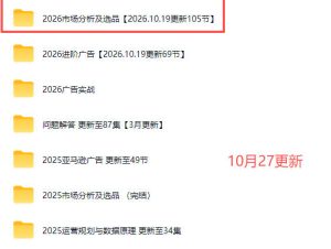 2026亚马逊视频教程，学习我们的商业模式，以及2026最新的选品及运营经验（更新1027）-副业资源站