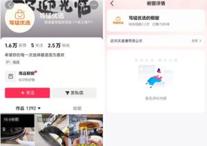 无需实拍也能做好抖音车载带货项目，收益非常稳定，每天坚持发就可以！-副业资源站
