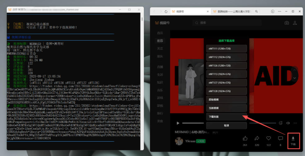 Github热门工具，视频号下载神器又来了！一键注入下载按钮，轻松下载，使用便捷wx_channel-副业资源站